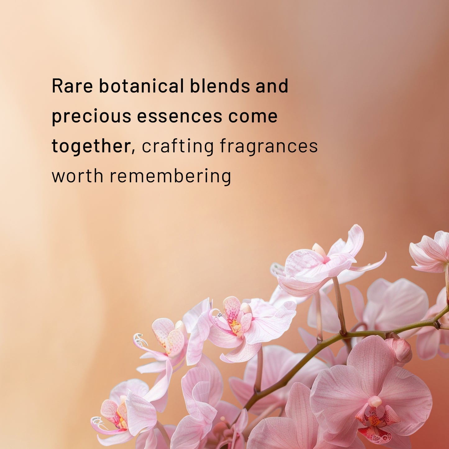Exotique Prive Collection | Modern Gourmand With Mandarin Blossom Eau De Parfum | 100ml